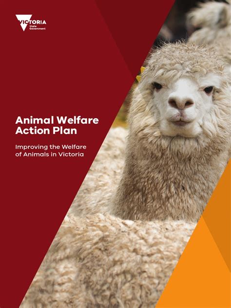 Animal Welfare Action Plan Dec 2017 | Animal Welfare | Cruelty To Animals