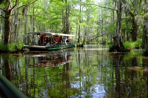 Learn the Legend Behind the Honey Island Swamp Monster of Louisiana