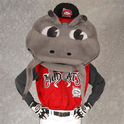 40 best Minor League Baseball Mascots images on Pinterest | Sports ...