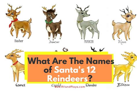 What Are The Names of Santa's 12 Reindeers? (List and Personalities)