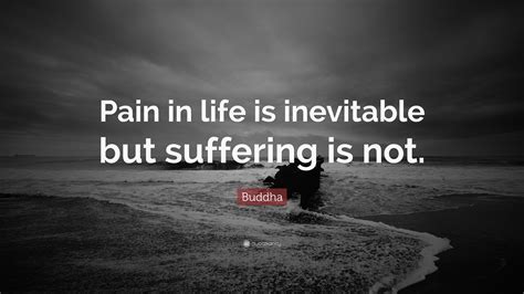 Buddhist Quotes On Suffering