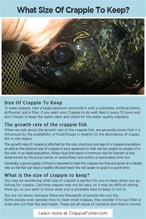 What Size Of Crappie To Keep: The size of crappie to keep or let go ...