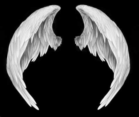 white angel wings png - Clip Art Library