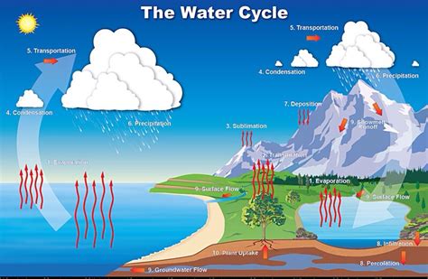 Hydrosphere - home of the Citarians