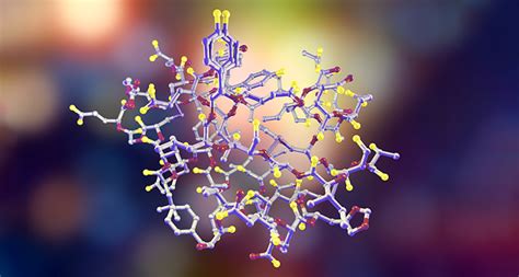 Luteinizing Hormone: Structure, Function and Related Problems With This ...