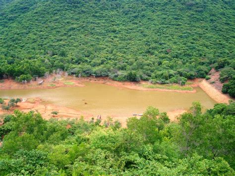 Eastern Ghats Wildlife Society