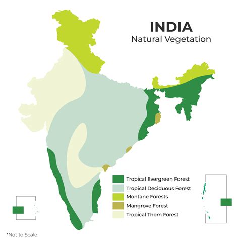 Tropical Evergreen Forest In India Map - Gabbie Christiana