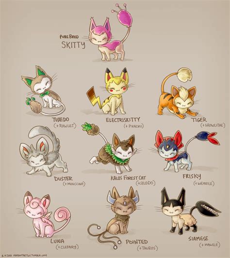 Skitty variants Pokemon Mix, Cat Pokemon, Pokemon Fusion Art, Pokemon ...