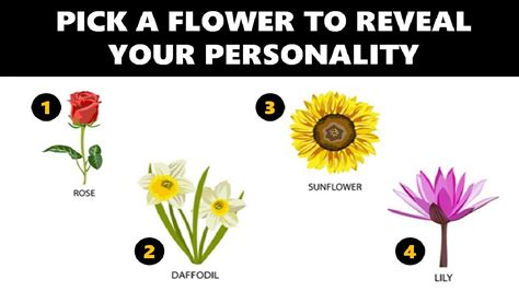 Flower Personality Test: Pick A Flower To Reveal Your True Personality ...