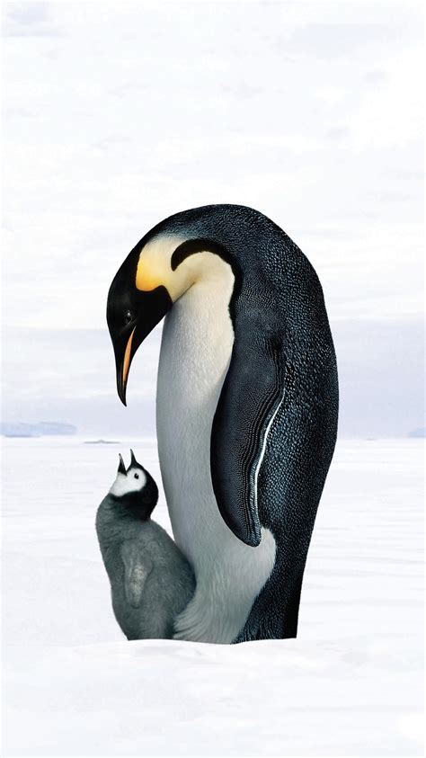 Cute Penguins In Love Wallpaper