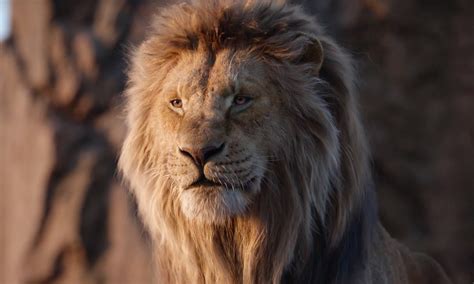 The Lion King Review: Disney’s Photorealistic Remake Is a Disaster ...