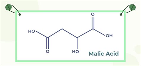 Malic Acid Formula - Structure, Properties, Uses, and Reactions