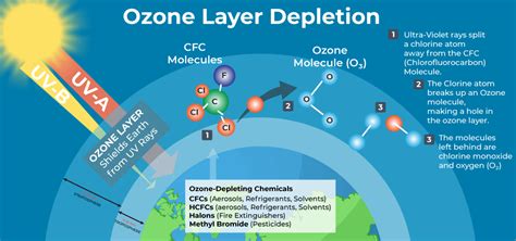 Ozone Layer Depletion - Causes, Effects, and Solutions