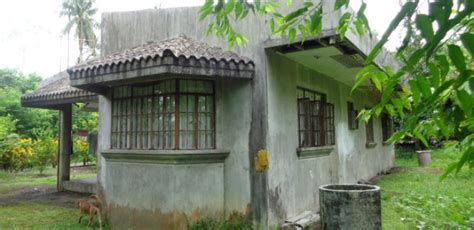 Daraga, Albay House and lot For Sale | MyProperty