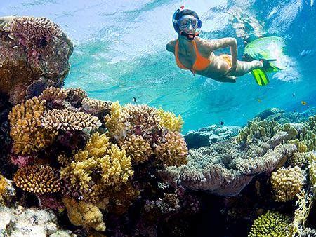 Exploring the Wonders of Honda Bay Island, Palawan | TriptheIslands.com