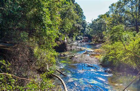 Coramba Nature Reserve | NSW National Parks