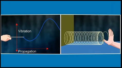 Transverse Waves |⚡3d animation | Class 9, physics | - YouTube