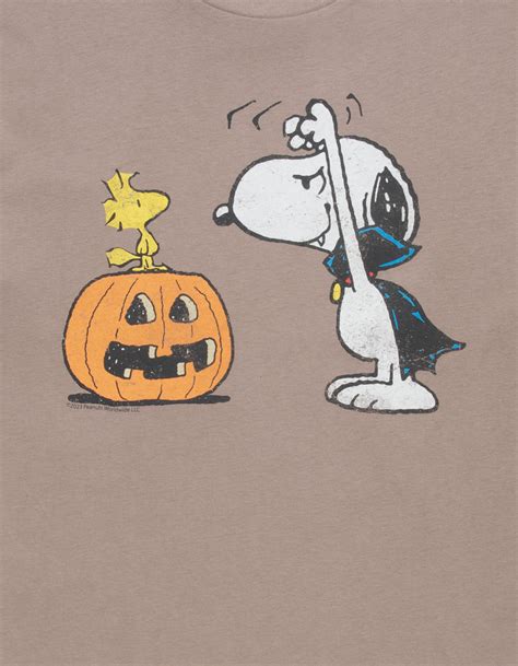 RSQ x Peanuts Mens Snoopy's Spooktacular Halloween Oversized Tee ...