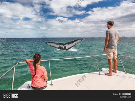 Whale Watching Boat Image & Photo (Free Trial) | Bigstock