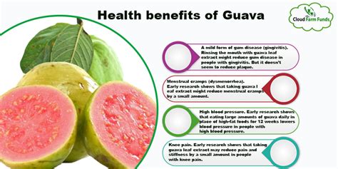 Guava Fruits- Description, Benefits and Precaution - CloudFarmFunds