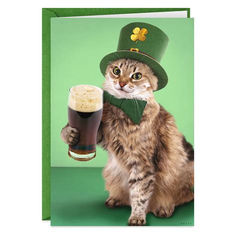 Cat With Beer Funny St. Patrick's Day Card - Greeting Cards - Hallmark