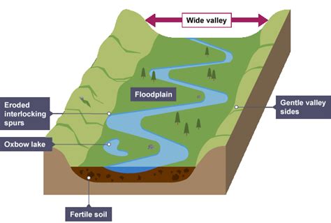 Natural Levee Diagram