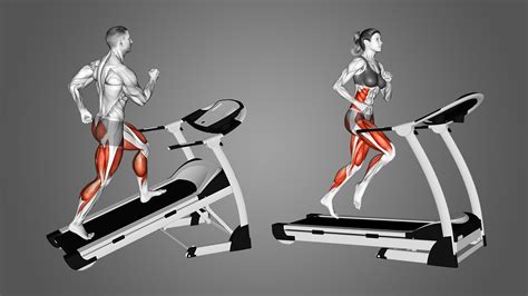 Sled Push Alternatives: Full Body Exercises (with, 49% OFF