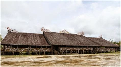 Rumah Adat Lamin Asal Suku Dayak Kalimantan Timur - Pesona Nusantara