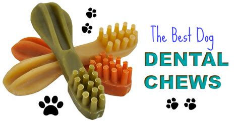 The Best Dental Chews For Dogs | Cleaning Chews, Oral Hygiene Treats