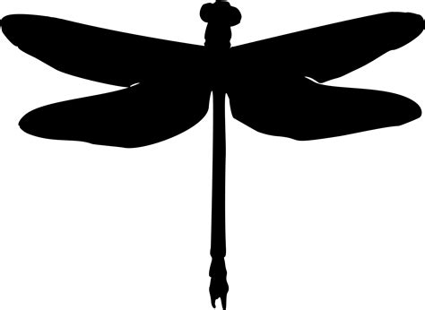 Silhouette clipart dragonfly, Silhouette dragonfly Transparent FREE for ...