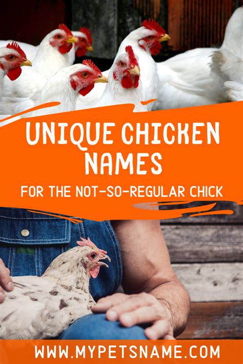 Unique Chicken Names | Chicken names, Pet names, Unique animals