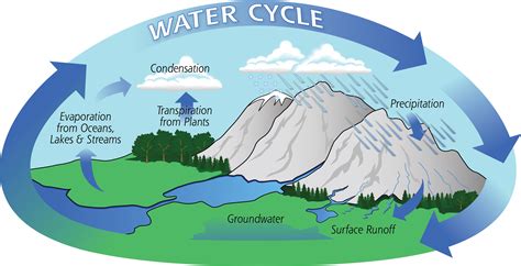 The Water Cycle | Precipitation Education