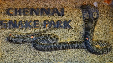 Chennai Snake Park/Guindy Snake Park/snake park in tamilnadu/guindy ...