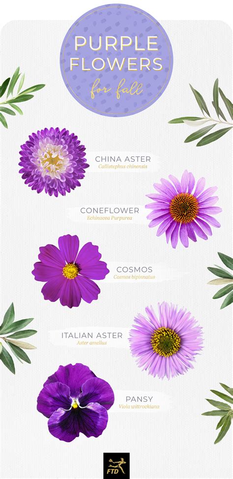 Light Purple Flowers Names And Pictures : Purple Wedding Flowers ...