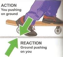 Action & Reaction Forces | Definition & Examples - Lesson | Study.com