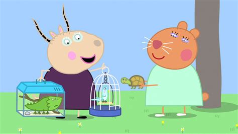 Watch Peppa Pig Season 4 Episode 3 : Doctor Hamster's Tortoise - Watch ...