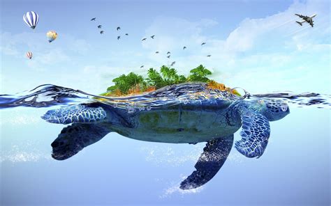 Turtle Wallpapers - Wallpaper Cave