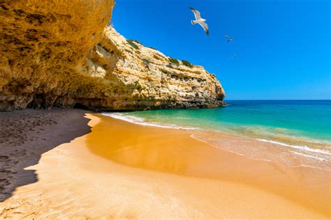 Best Beaches Near Albufeira to Visit | The Villa Agency The Villa Agency