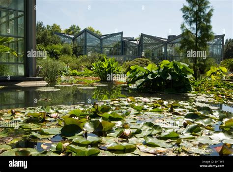 Palmengarten, botanical garden in Frankfurt, Tropicarium and skyline of ...