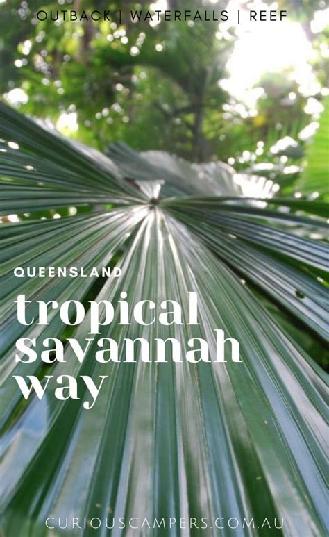 Savannah Way Road Trip Queensland - Travel Guide