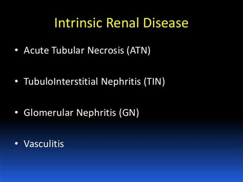 Icu meeting 231014 intrnsic renal disease v02