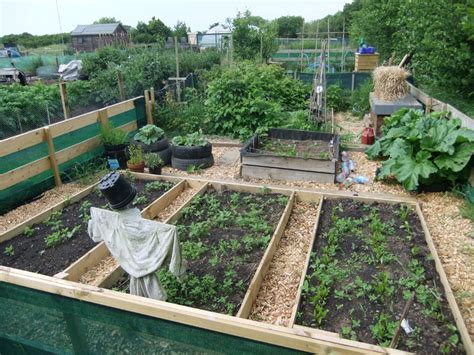 A Visit to the Kerrowkneale Allotment • Lovely Greens