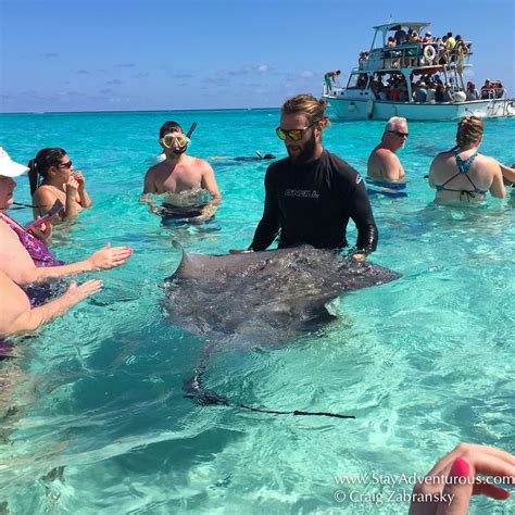 Visiting Stingray City in Grand Cayman | Stay Adventurous | Mindset for ...