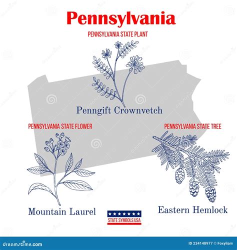 Pennsylvania. Set of USA Official State Symbols Stock Vector ...