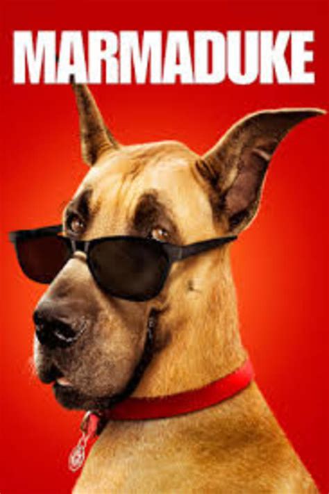 Movie Review of Marmaduke the Movie (2010 Movie) - HubPages