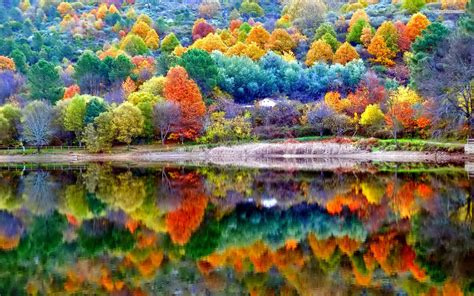 Autumn Scenery Wallpaper,HD Nature Wallpapers,4k Wallpapers,Images ...