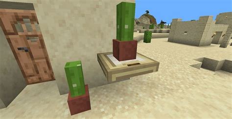 Top 5 uses of Cactus in Minecraft