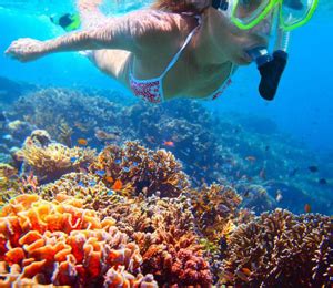 Snorkeling the Exumas Bahamas