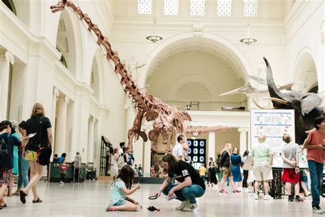 The Field Museum in Chicago | Find Natural History Exhibits