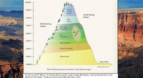 Sonoran Desert Climate Graph